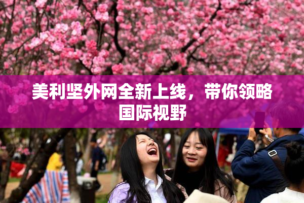 美利坚外网全新上线，带你领略国际视野