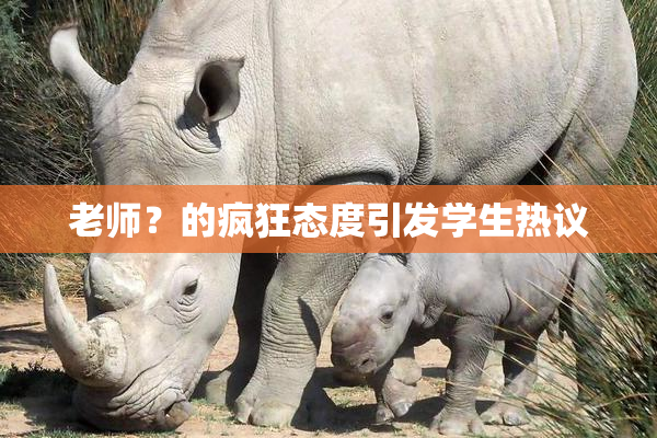 老师？的疯狂态度引发学生热议