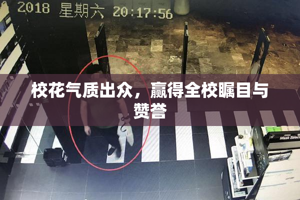 校花气质出众，赢得全校瞩目与赞誉