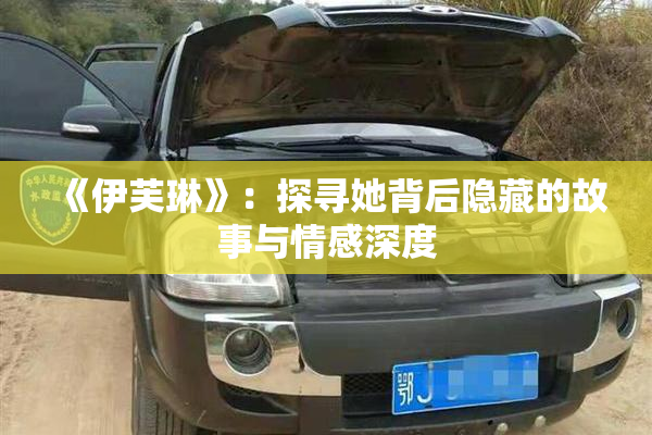 《伊芙琳》：探寻她背后隐藏的故事与情感深度