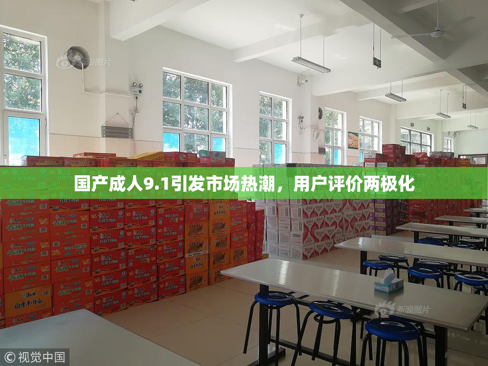 国产成人9.1引发市场热潮，用户评价两极化