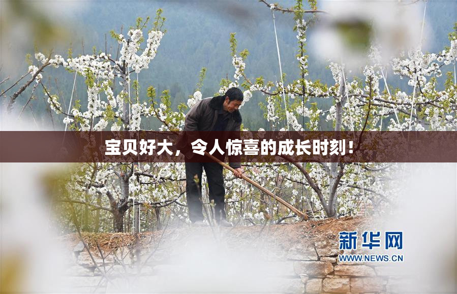 宝贝好大，令人惊喜的成长时刻！