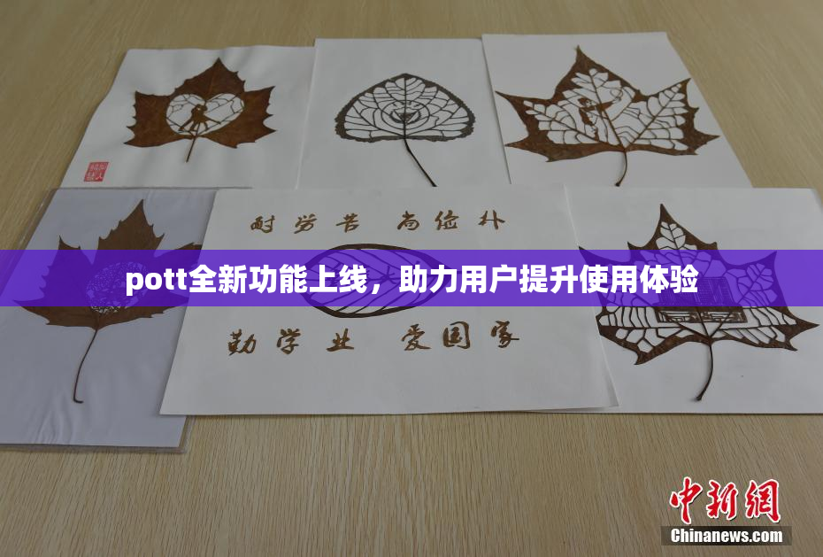 pott全新功能上线，助力用户提升使用体验