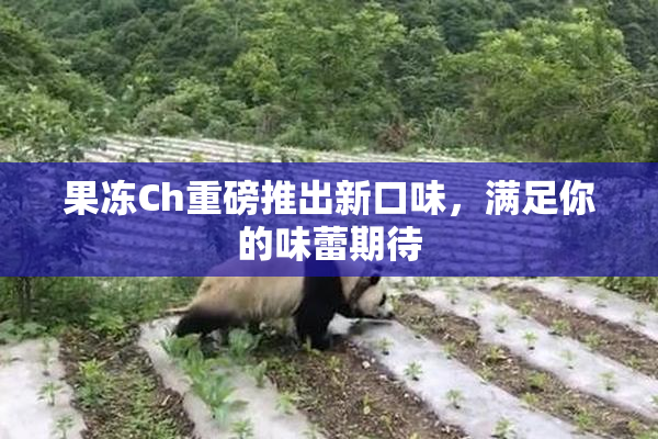 果冻Ch重磅推出新口味，满足你的味蕾期待