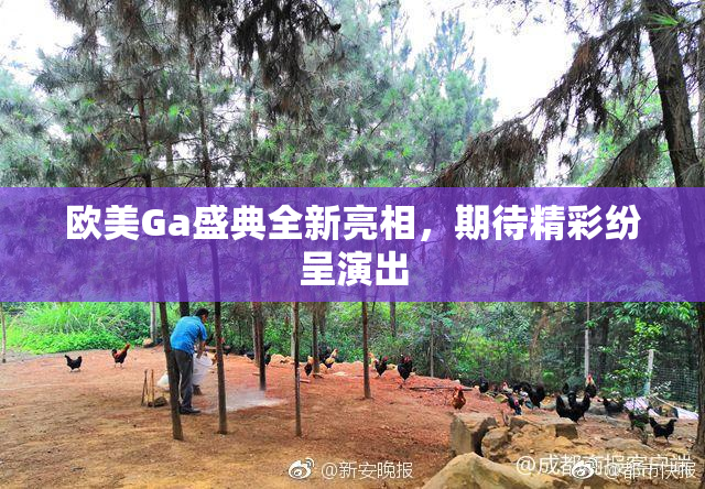 欧美Ga盛典全新亮相，期待精彩纷呈演出