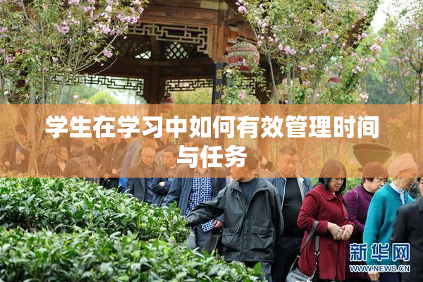 学生在学习中如何有效管理时间与任务