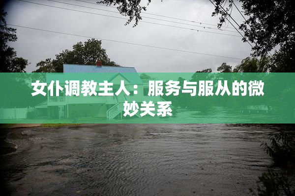 女仆调教主人：服务与服从的微妙关系