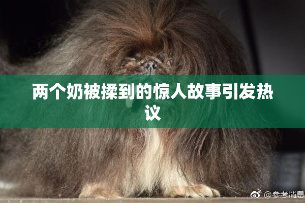 两个奶被揉到的惊人故事引发热议