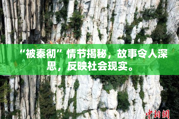 “被秦彻”情节揭秘，故事令人深思，反映社会现实。