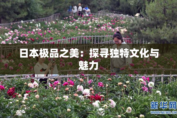 日本极品之美：探寻独特文化与魅力