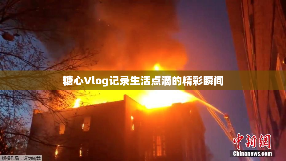 糖心Vlog记录生活点滴的精彩瞬间