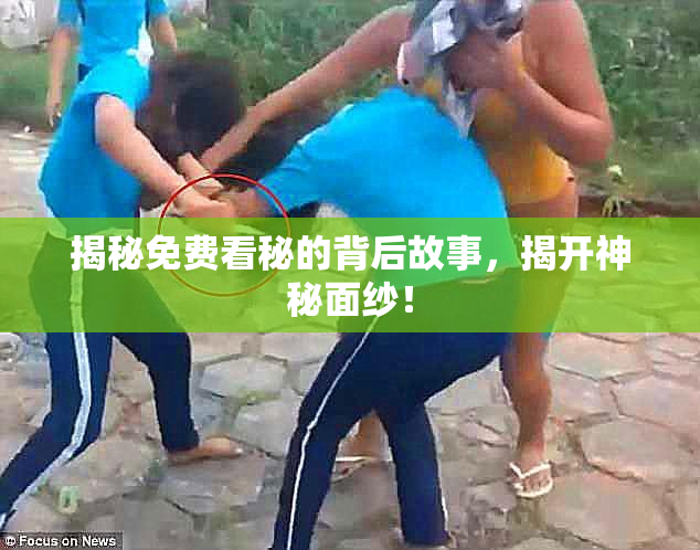 揭秘免费看秘的背后故事，揭开神秘面纱！