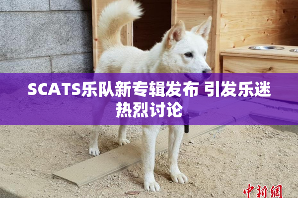 SCATS乐队新专辑发布 引发乐迷热烈讨论