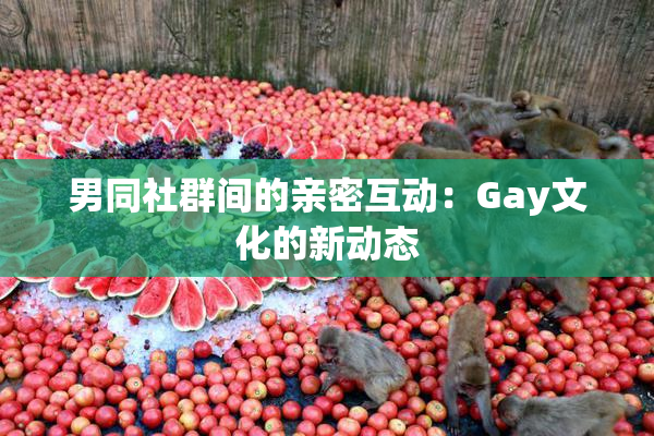 男同社群间的亲密互动：Gay文化的新动态
