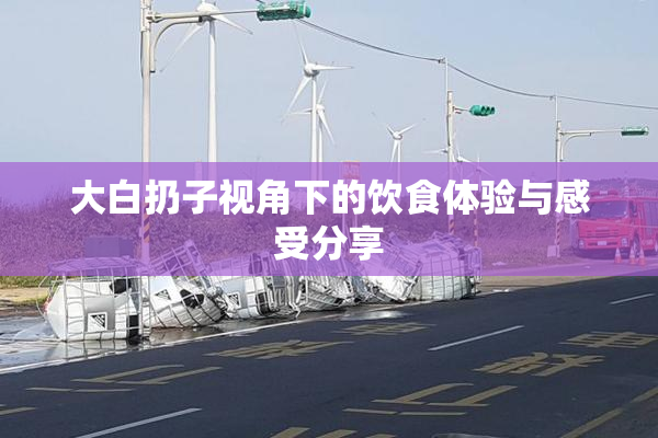大白扔子视角下的饮食体验与感受分享