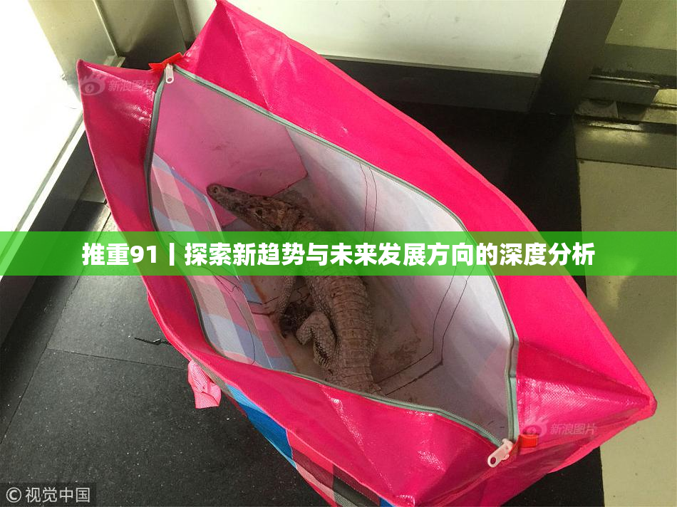 推重91丨探索新趋势与未来发展方向的深度分析