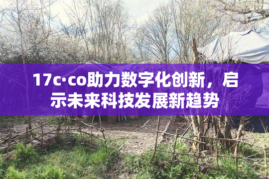 17c·co助力数字化创新，启示未来科技发展新趋势