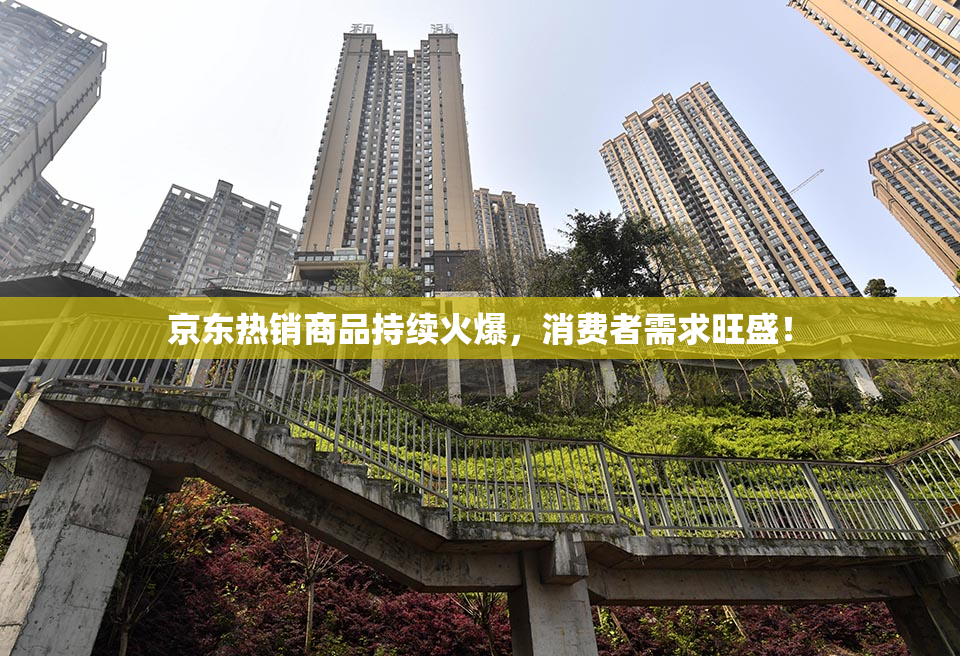 京东热销商品持续火爆，消费者需求旺盛！