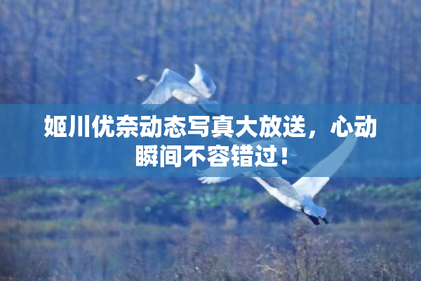 姬川优奈动态写真大放送，心动瞬间不容错过！