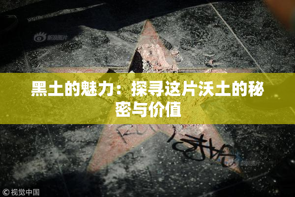 黑土的魅力：探寻这片沃土的秘密与价值