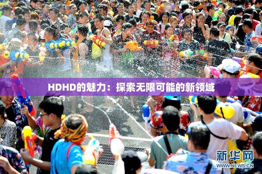 HDHD的魅力：探索无限可能的新领域