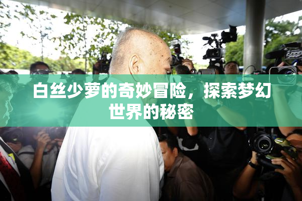 白丝少萝的奇妙冒险，探索梦幻世界的秘密