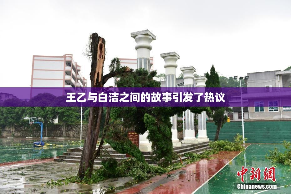王乙与白洁之间的故事引发了热议