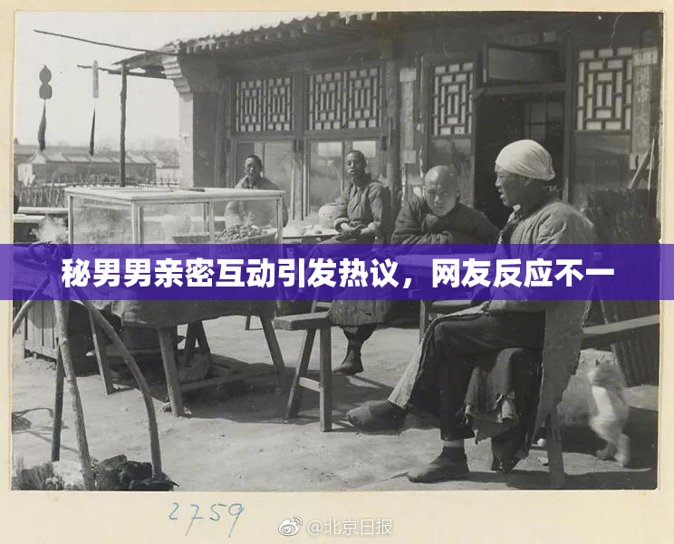 秘男男亲密互动引发热议，网友反应不一