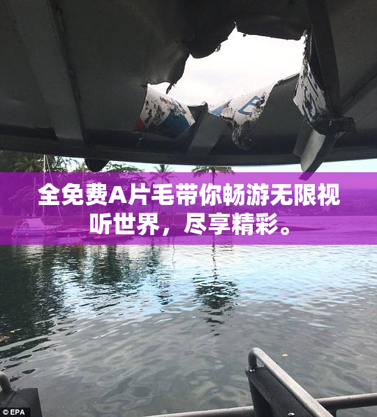全免费A片毛带你畅游无限视听世界，尽享精彩。