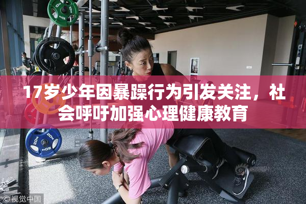 17岁少年因暴躁行为引发关注，社会呼吁加强心理健康教育