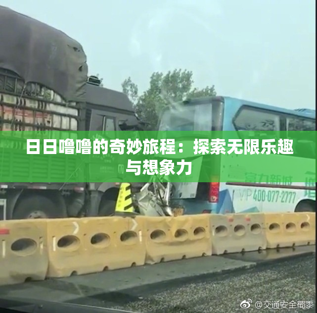 日日噜噜的奇妙旅程：探索无限乐趣与想象力