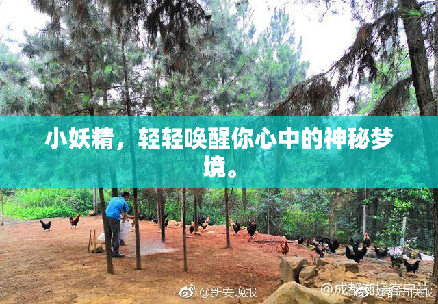 小妖精，轻轻唤醒你心中的神秘梦境。