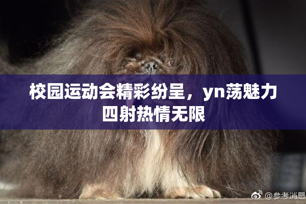 校园运动会精彩纷呈，yn荡魅力四射热情无限