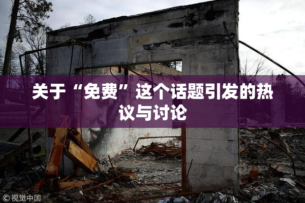 关于“免费”这个话题引发的热议与讨论