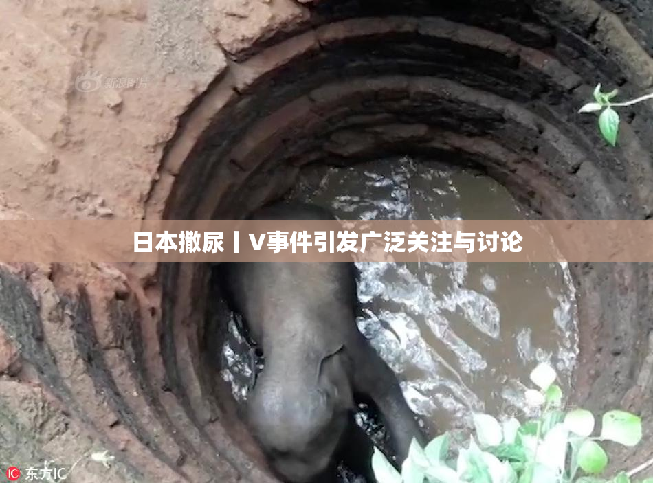 日本撒尿丨V事件引发广泛关注与讨论