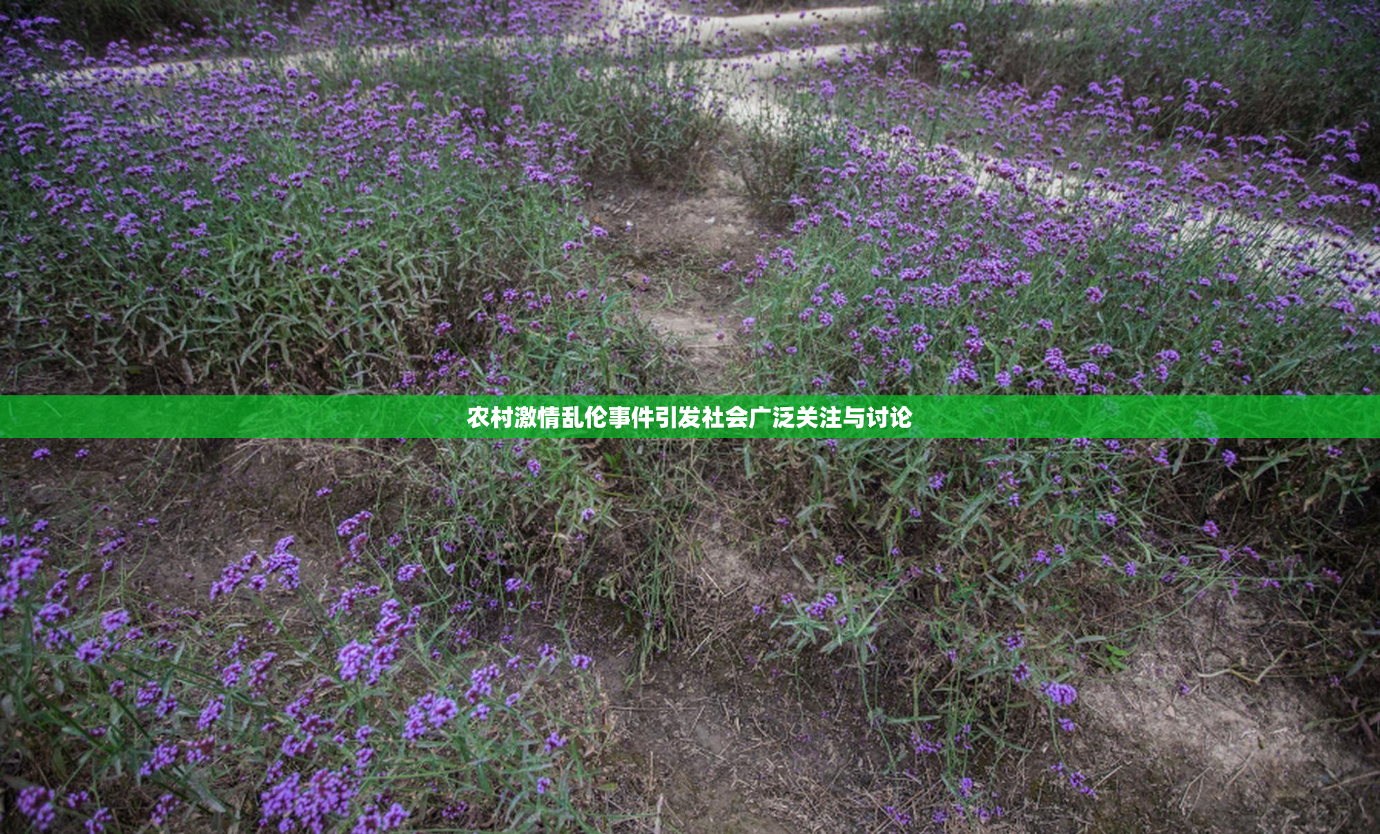 农村激情乱伦事件引发社会广泛关注与讨论