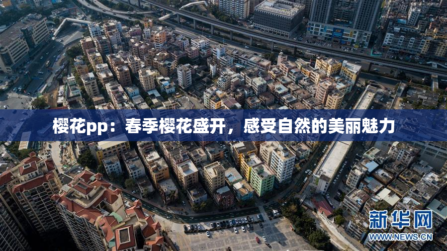 樱花pp：春季樱花盛开，感受自然的美丽魅力