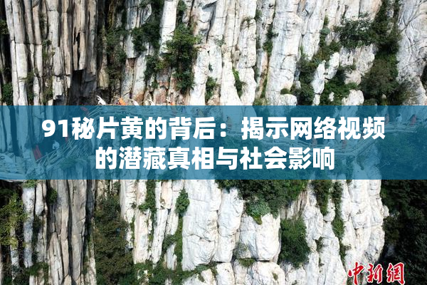 91秘片黄的背后：揭示网络视频的潜藏真相与社会影响