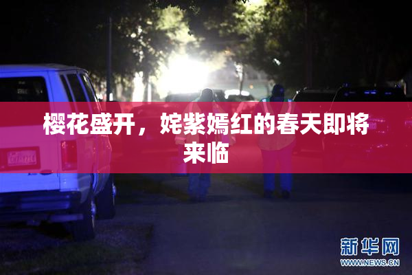 樱花盛开，姹紫嫣红的春天即将来临