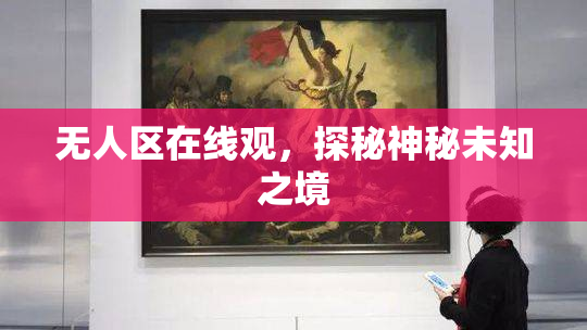 无人区在线观，探秘神秘未知之境