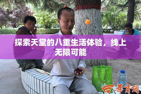 探索天堂的八重生活体验，线上无限可能