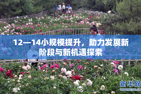 12—14小规模提升，助力发展新阶段与新机遇探索