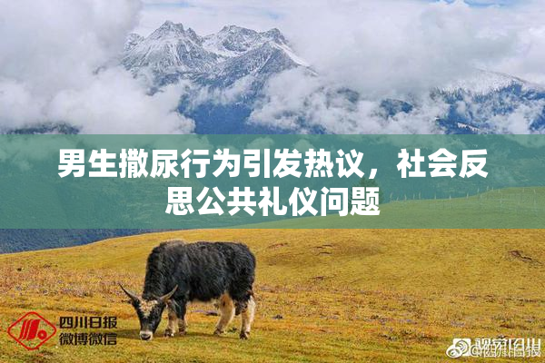 男生撒尿行为引发热议，社会反思公共礼仪问题