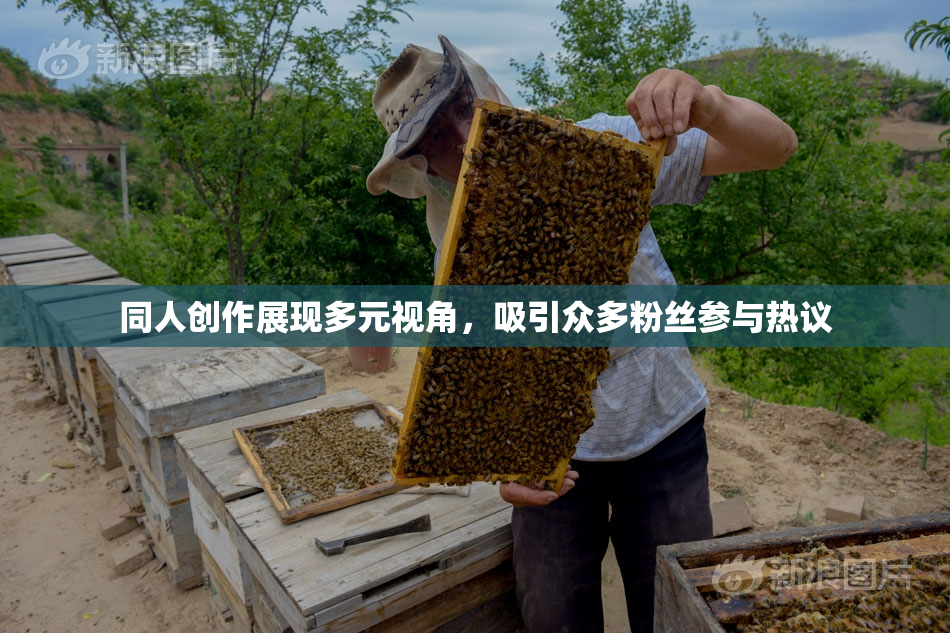 同人创作展现多元视角，吸引众多粉丝参与热议