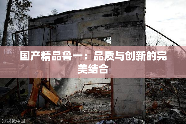 国产精品鲁一：品质与创新的完美结合