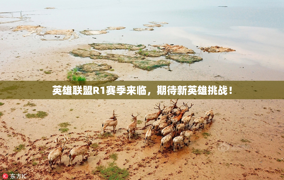 英雄联盟R1赛季来临，期待新英雄挑战！