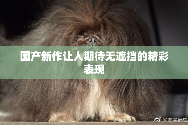 国产新作让人期待无遮挡的精彩表现