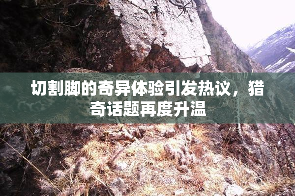 切割脚的奇异体验引发热议，猎奇话题再度升温