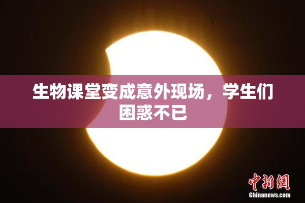 生物课堂变成意外现场，学生们困惑不已