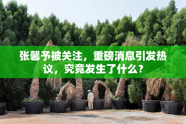 张馨予被关注，重磅消息引发热议，究竟发生了什么？